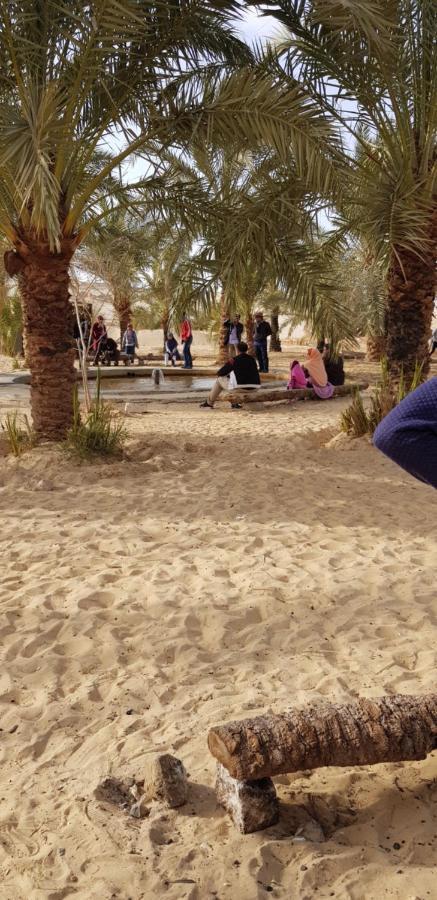 مبيت وإفطار Siwa Oasis Qasr El Salam المظهر الخارجي الصورة